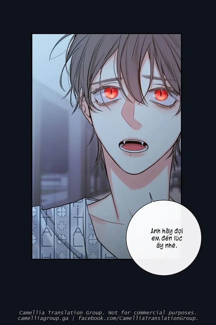 Chapter 28