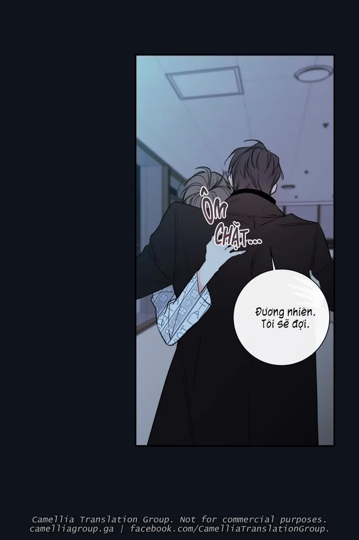 Chapter 28