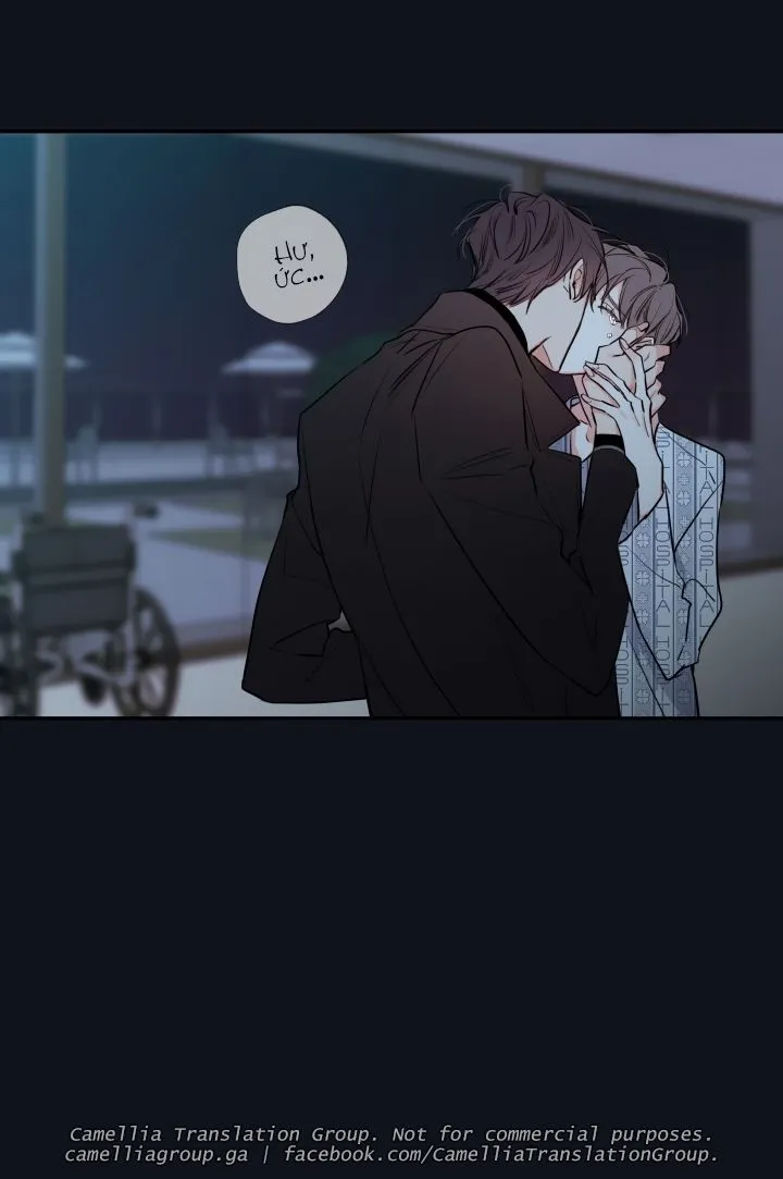 Chapter 28