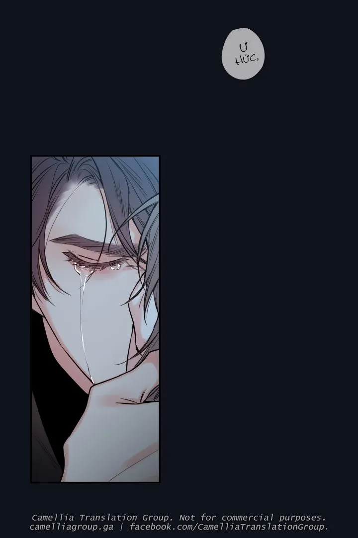 Chapter 28