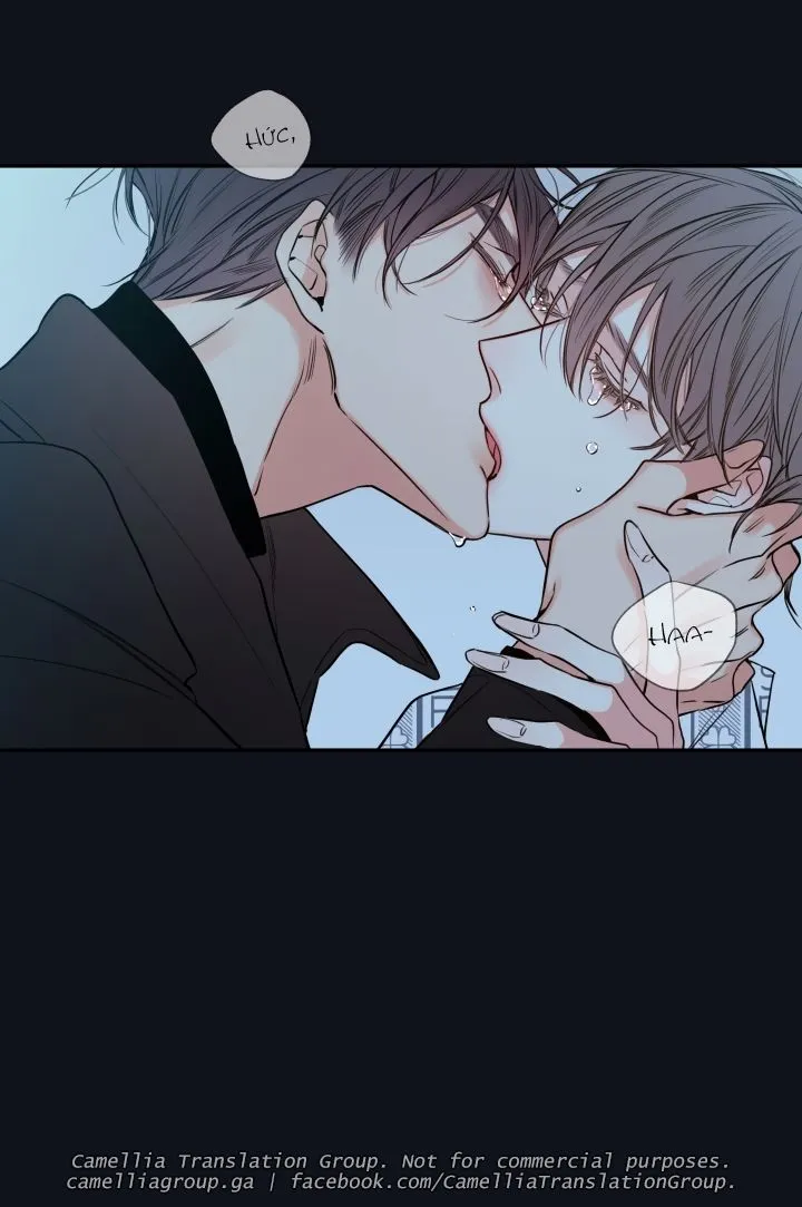 Chapter 28