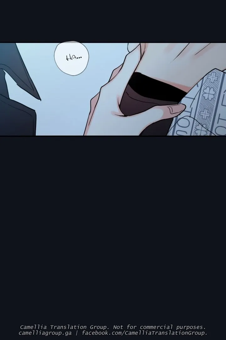 Chapter 28