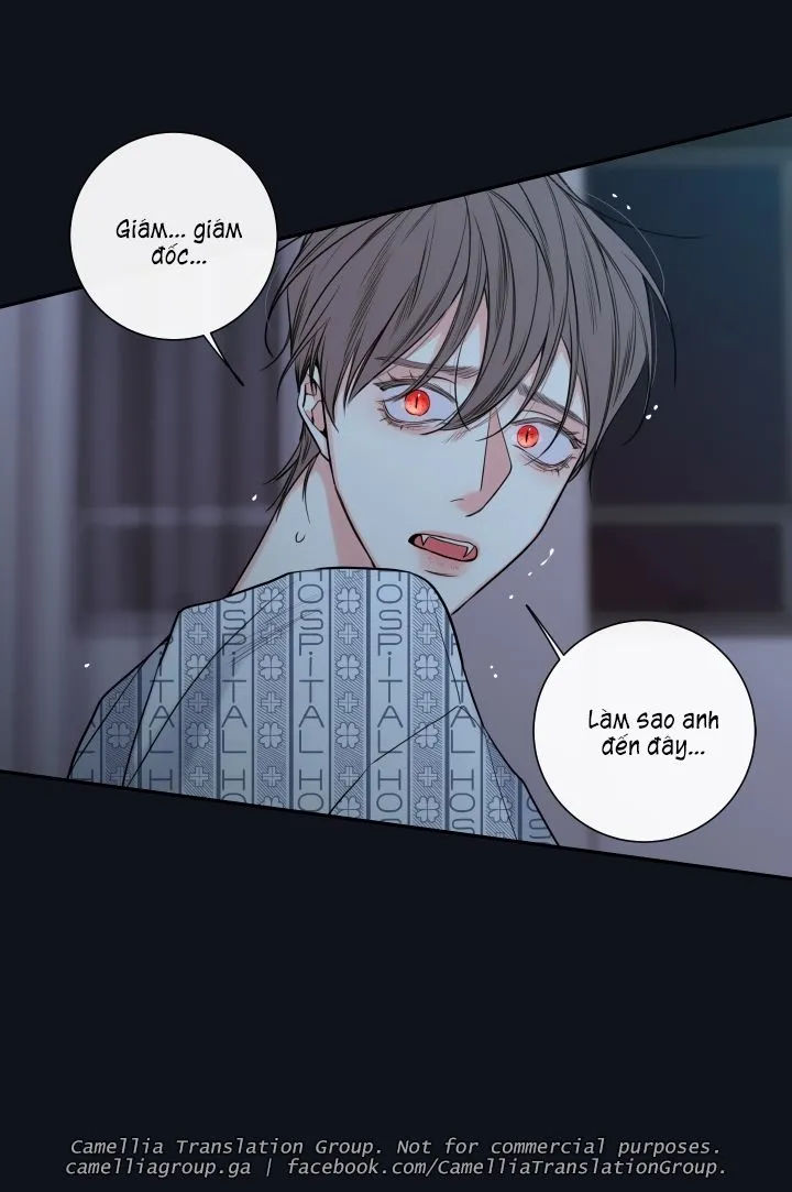 Chapter 27
