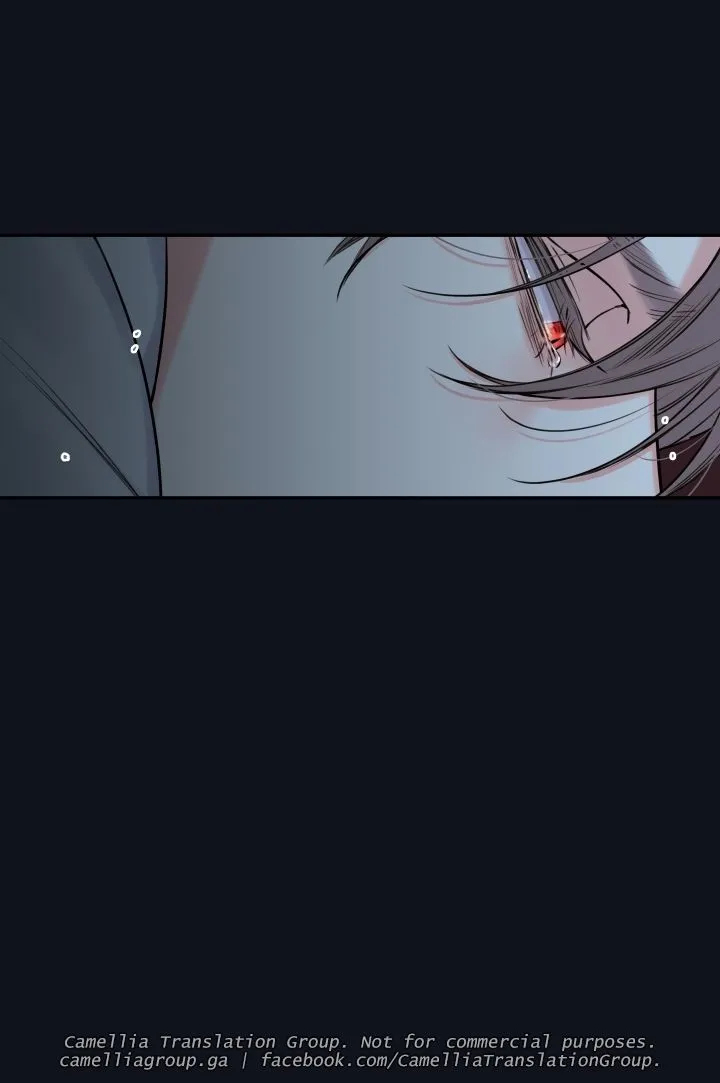 Chapter 26