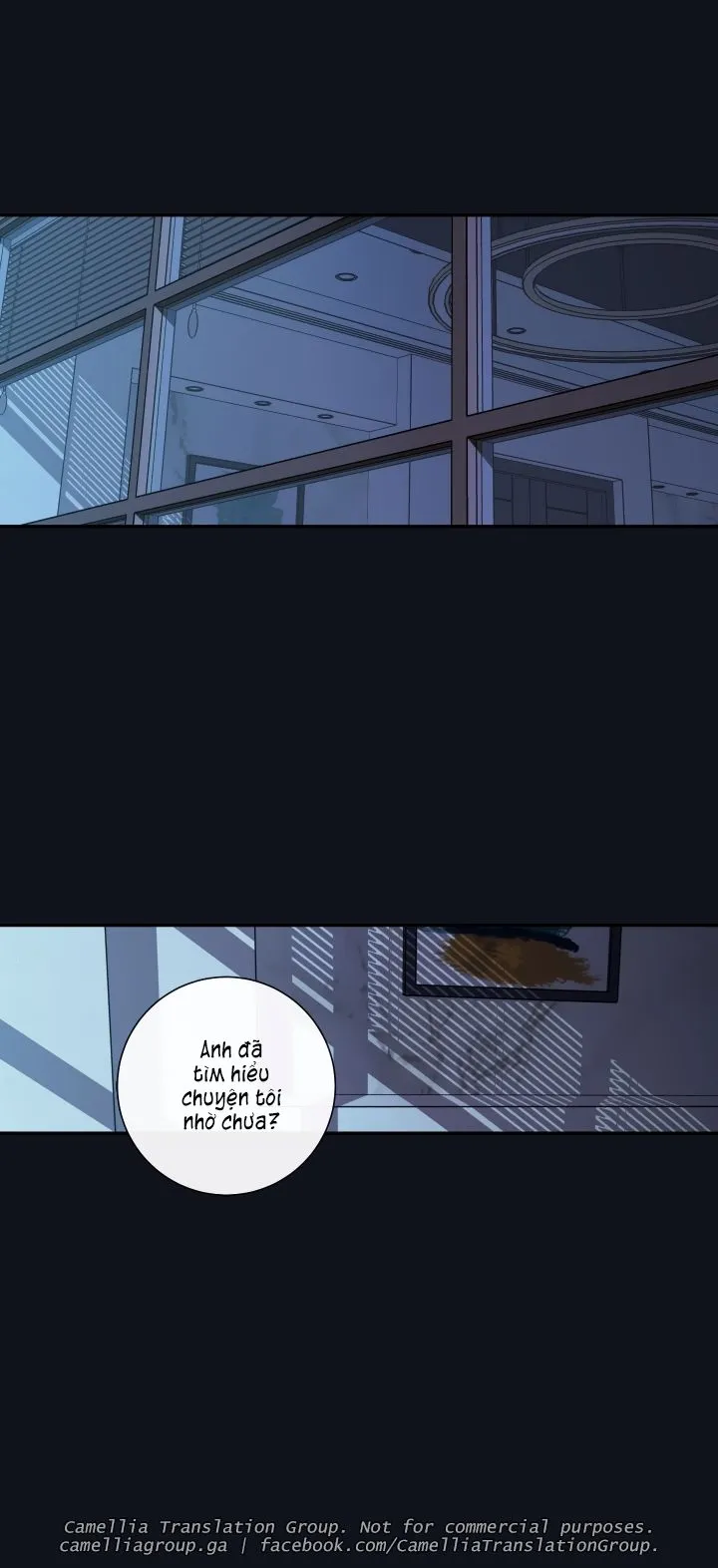 Chapter 26
