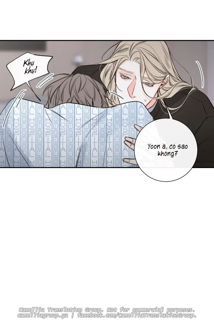 Chapter 26