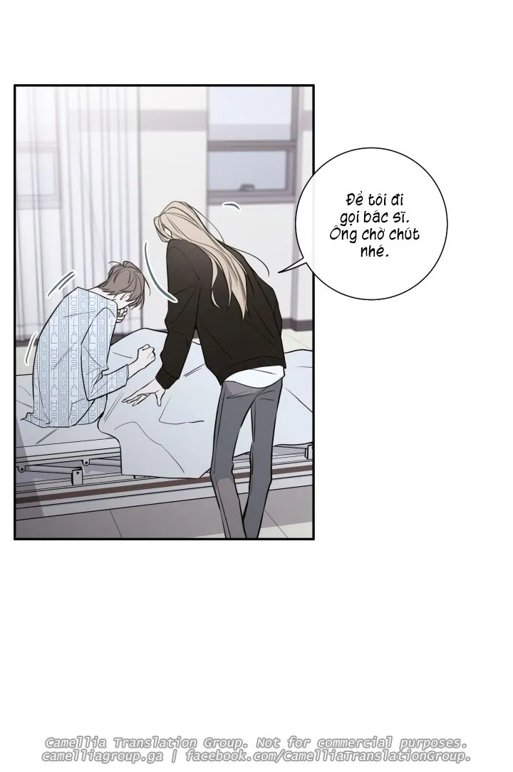 Chapter 26