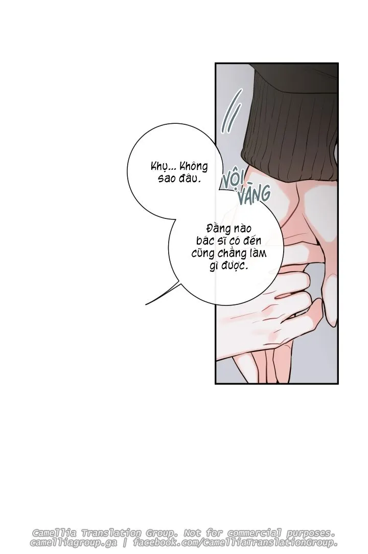 Chapter 26