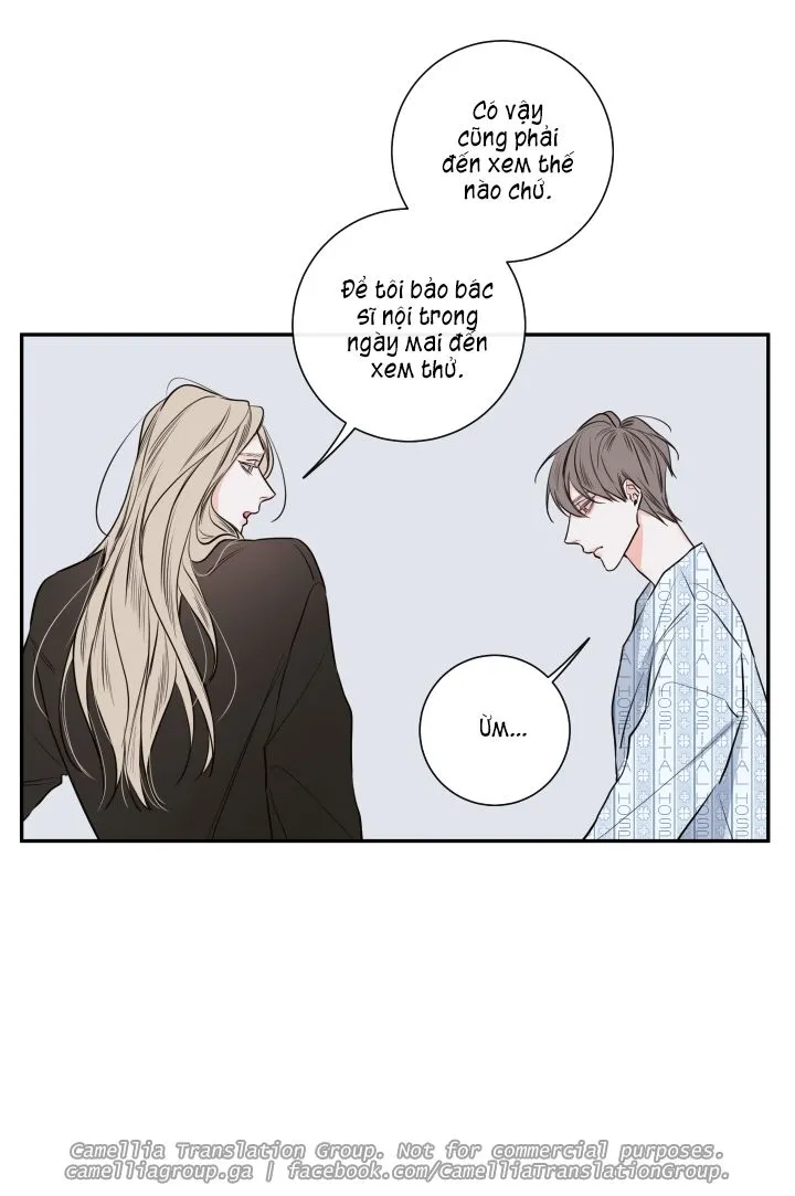 Chapter 26
