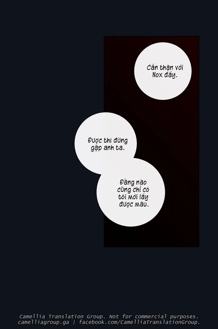 Chapter 25