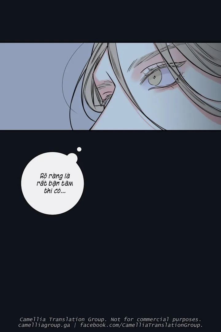 Chapter 25