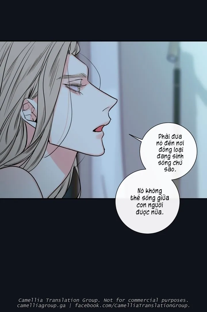 Chapter 25