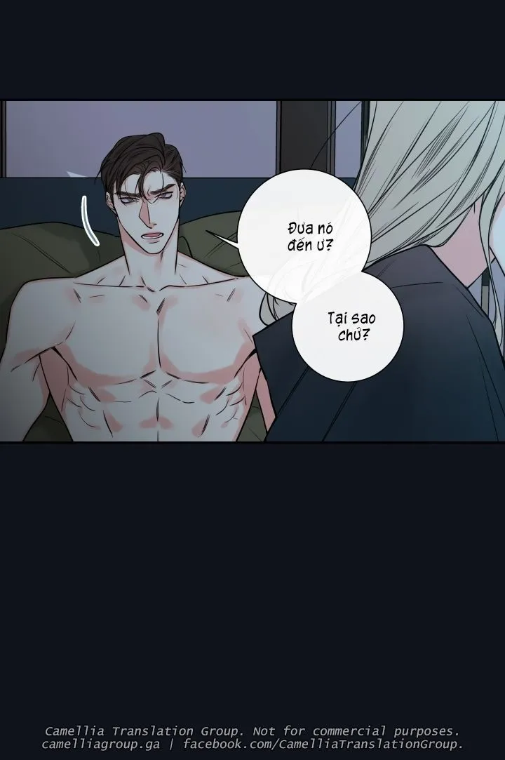 Chapter 25