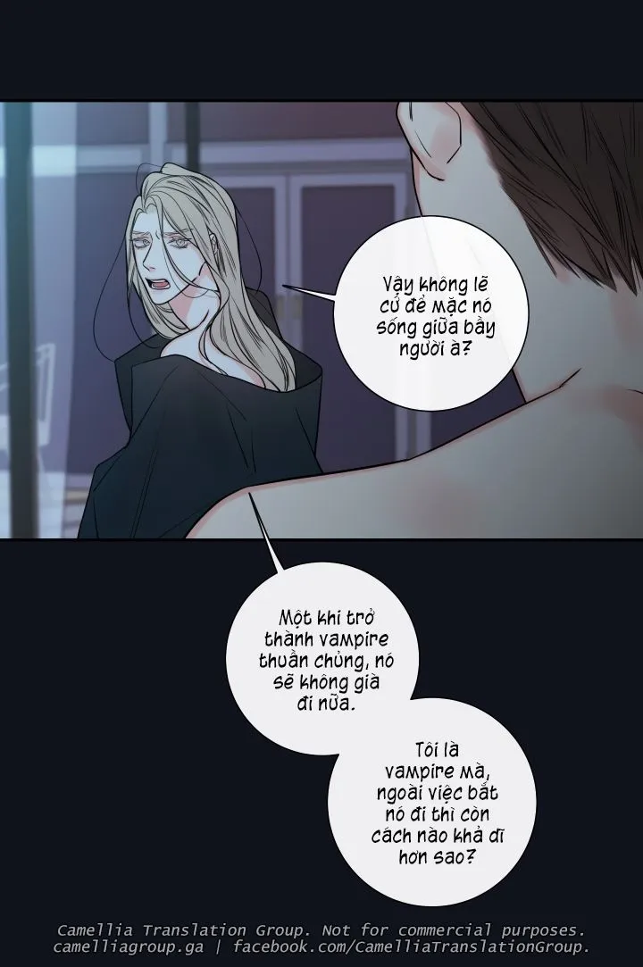 Chapter 25