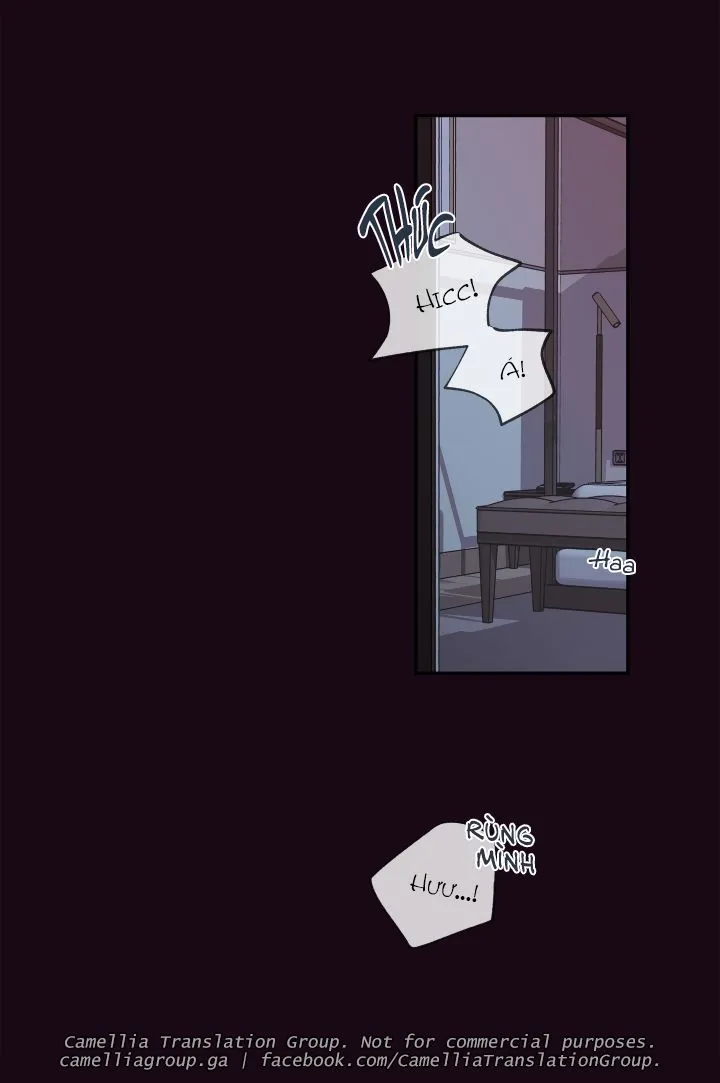 Chapter 24