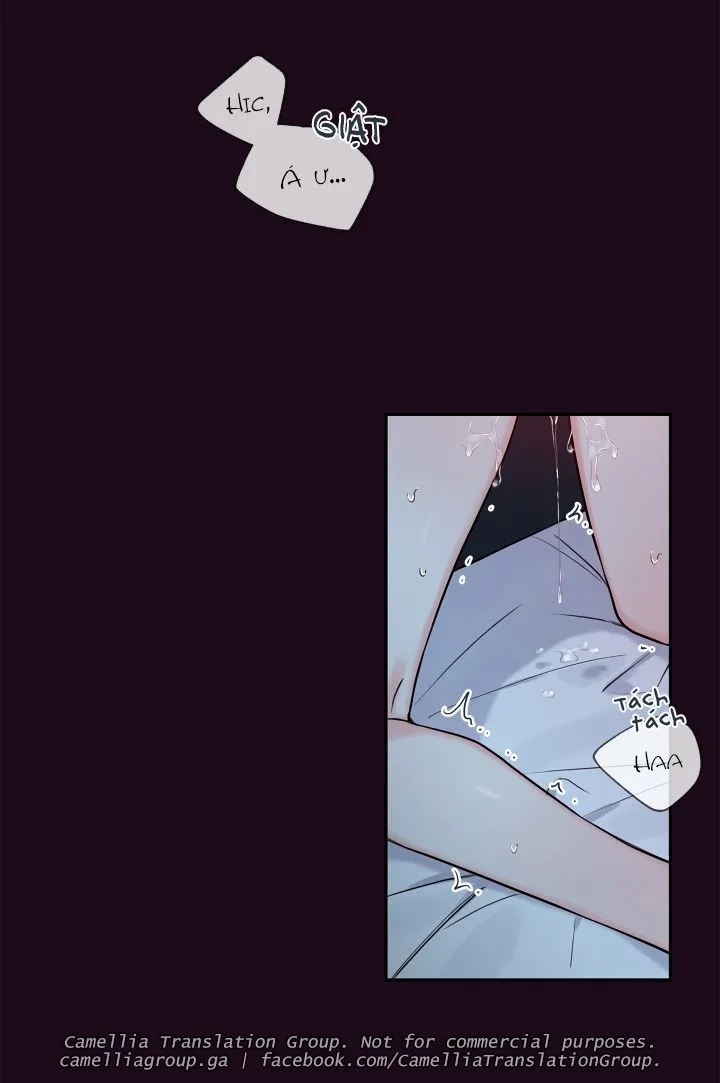 Chapter 24
