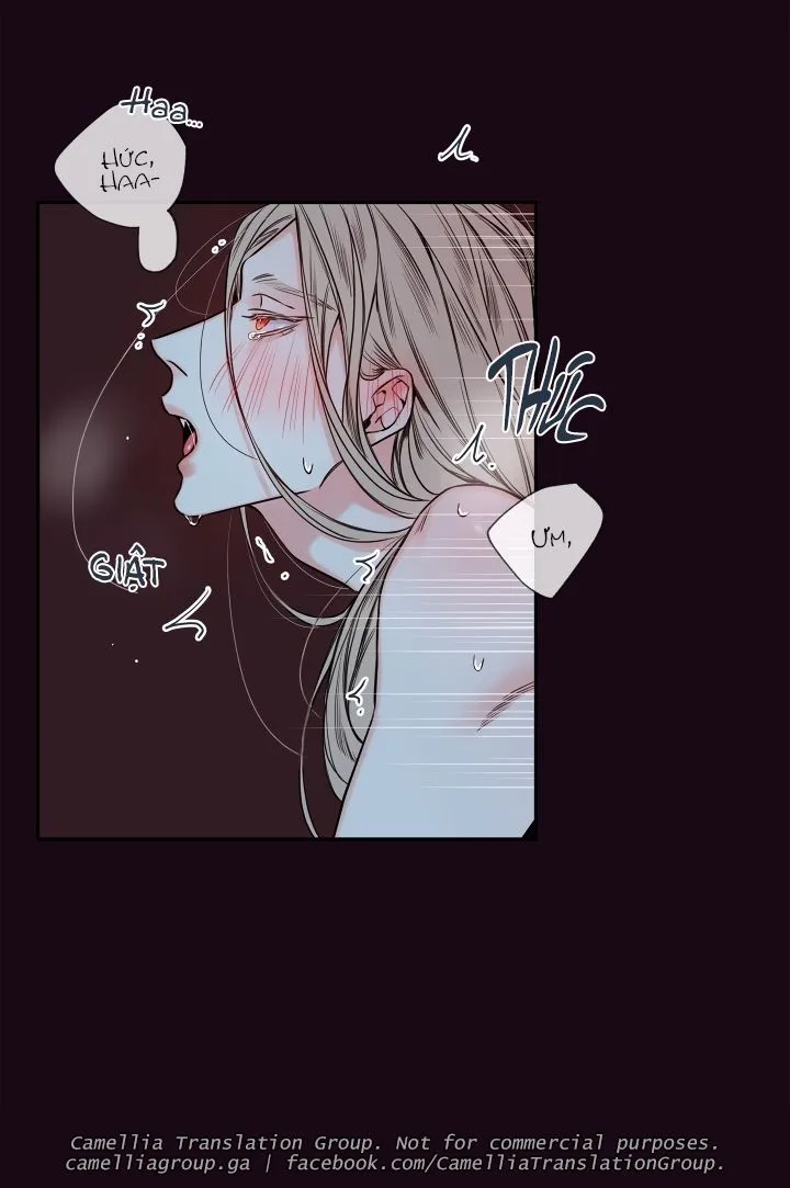 Chapter 24