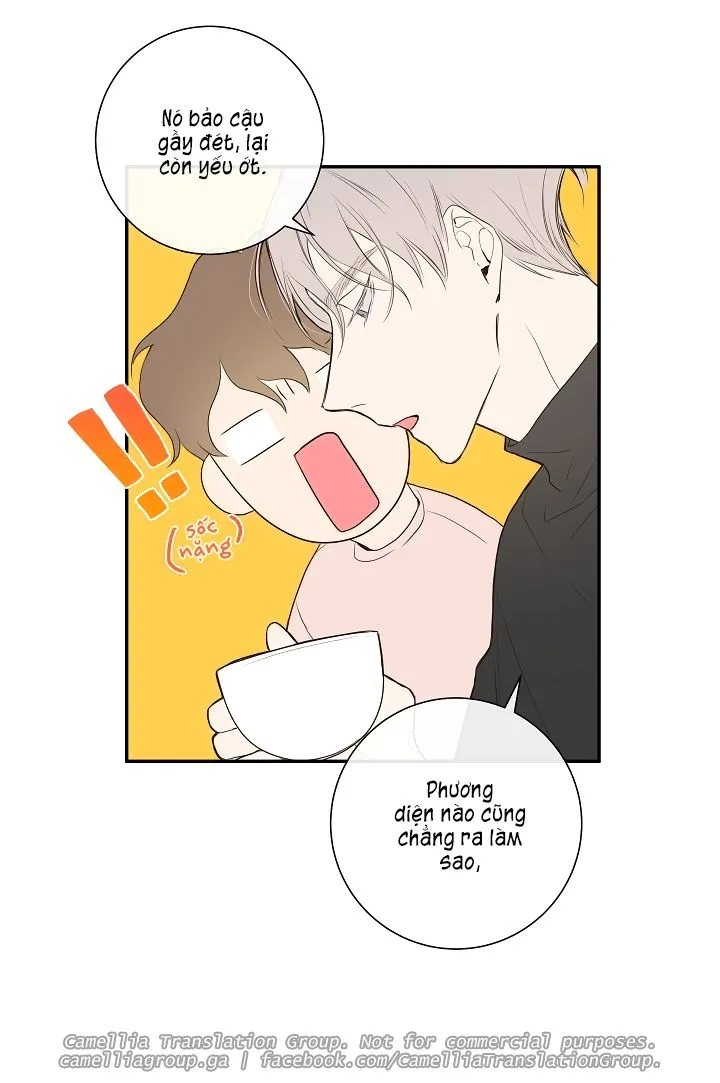 Chapter 6