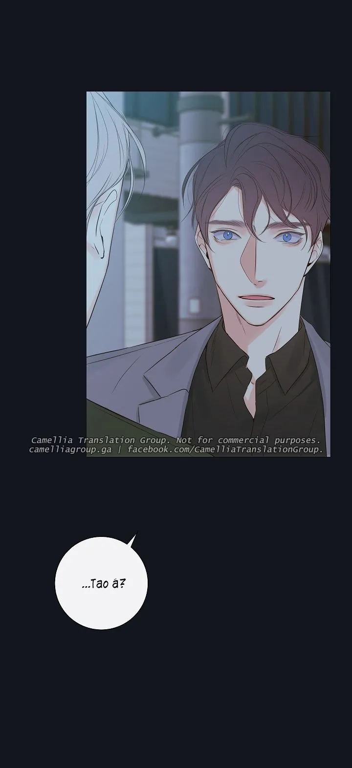 Chapter 6
