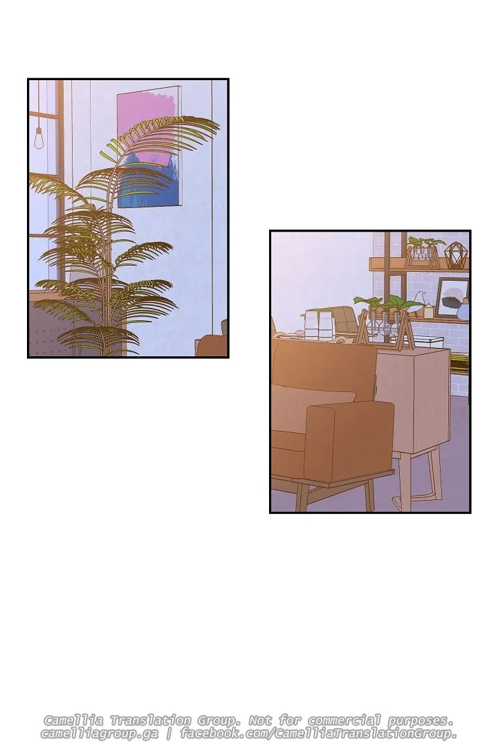 Chapter 6