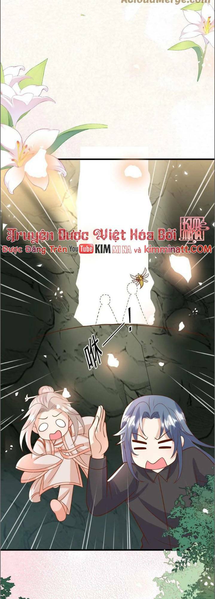 Chapter 211