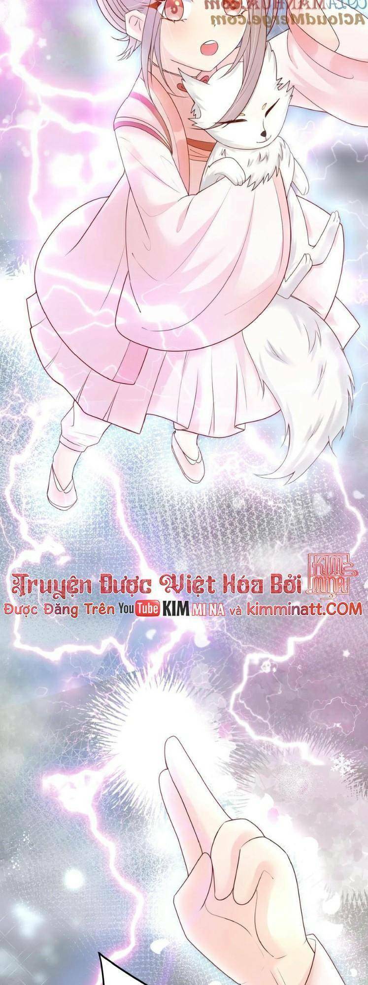 Chapter 102