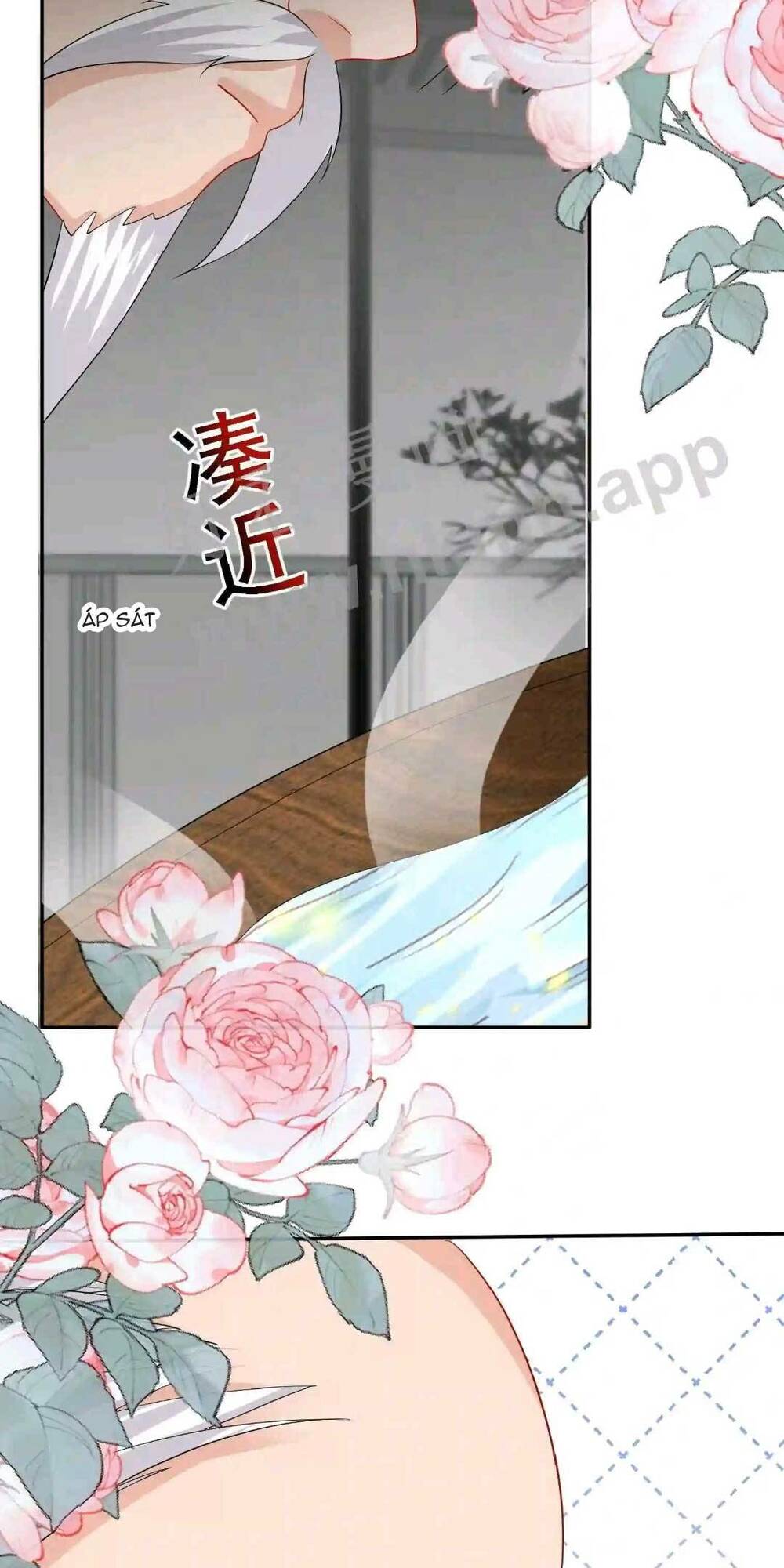 Chapter 51