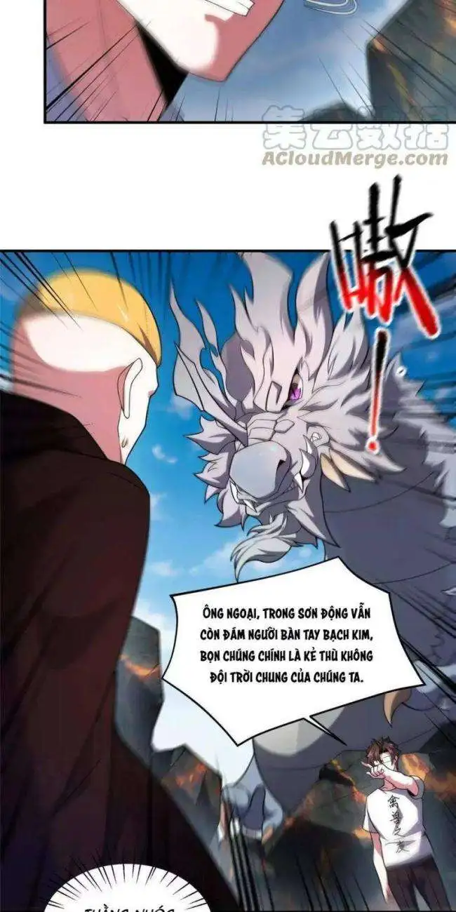 Chapter 115