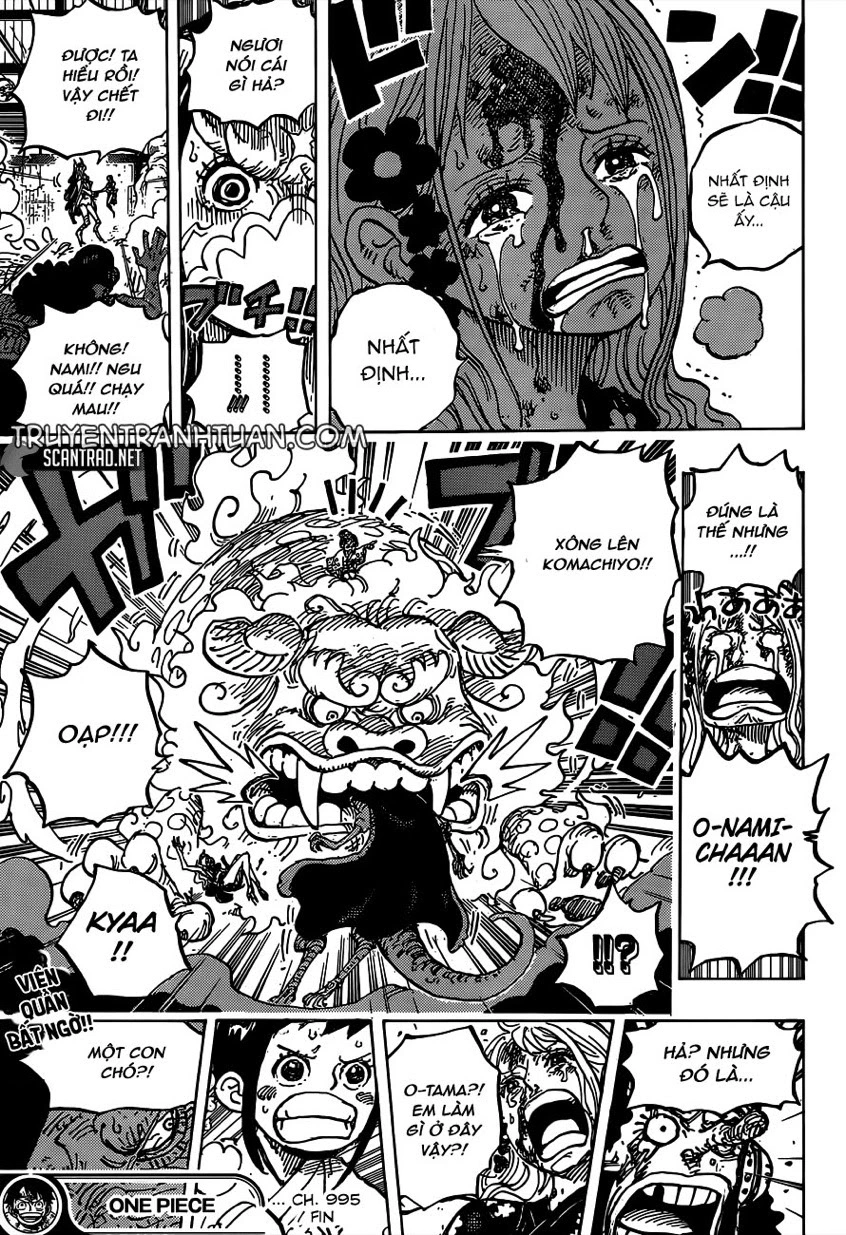 Chapter 995