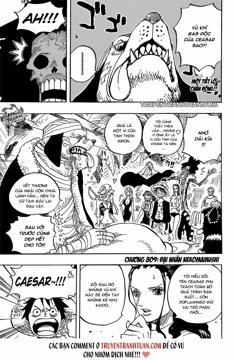 Chapter 809