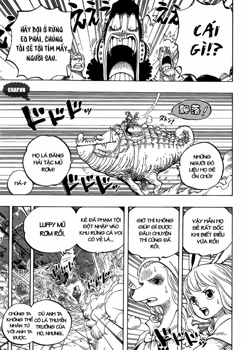 Chapter 805