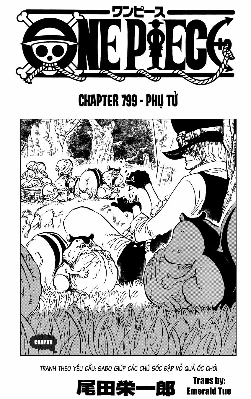 Chapter 799