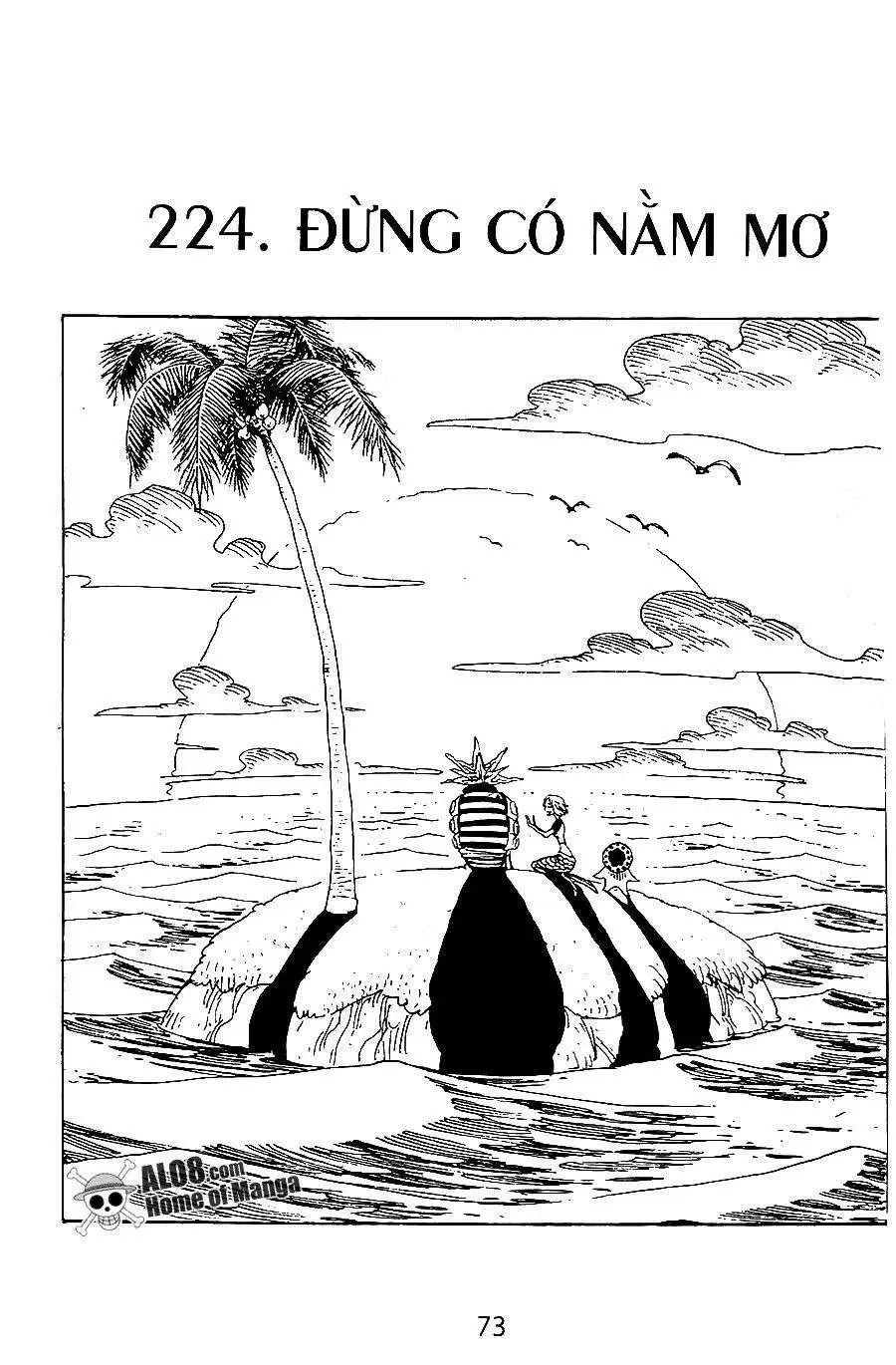 Chapter 224