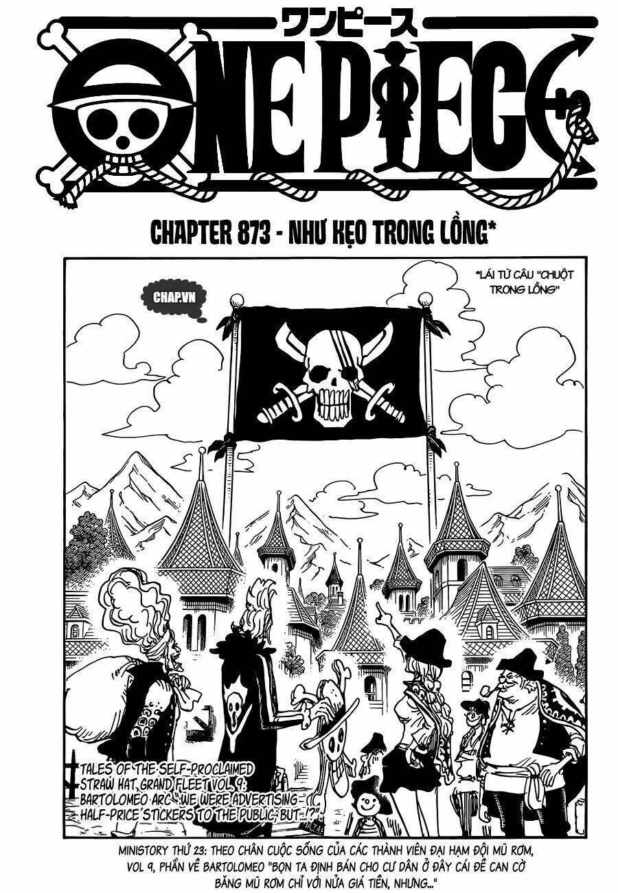 Chapter 873