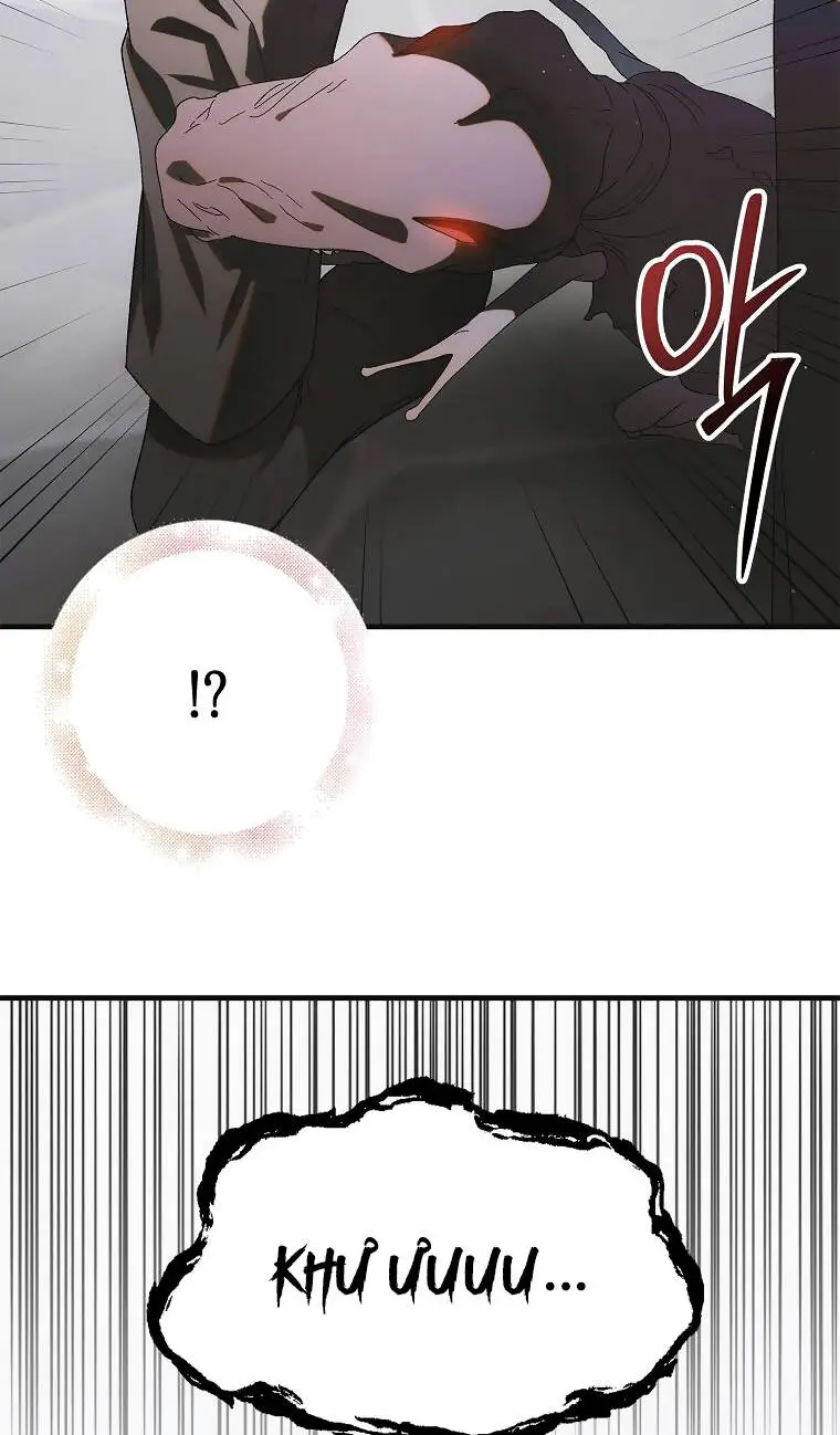 Chapter 113.1