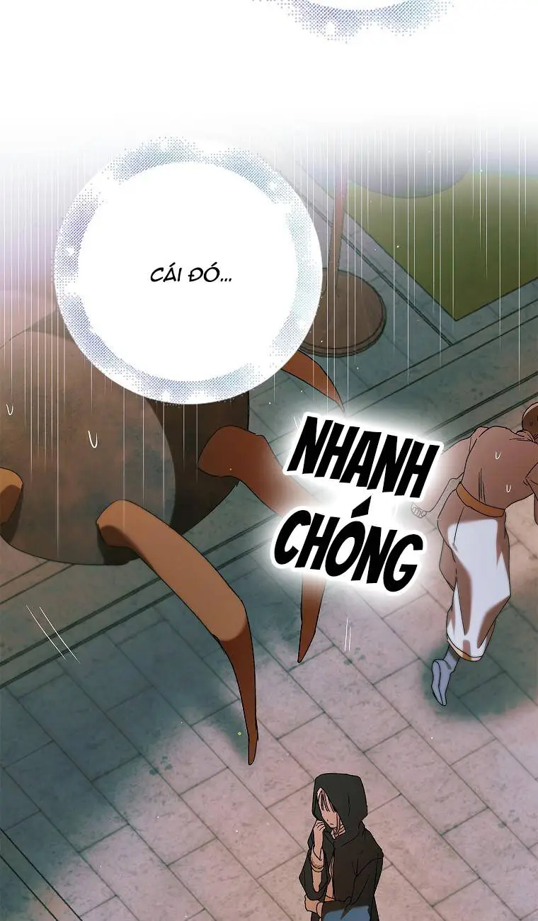Chapter 81.1