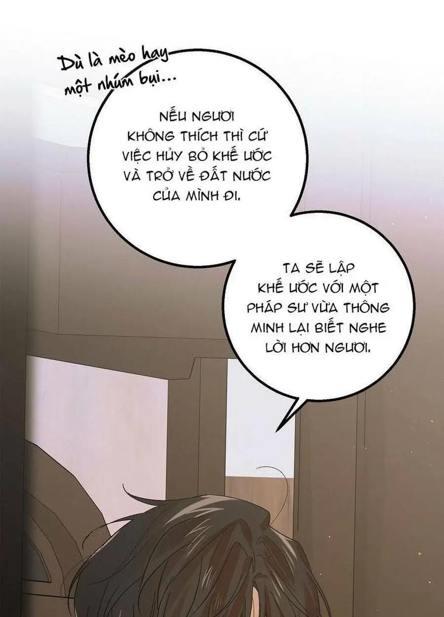Chapter 66