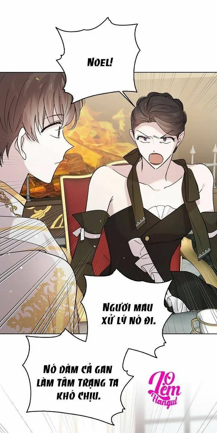 Chapter 19