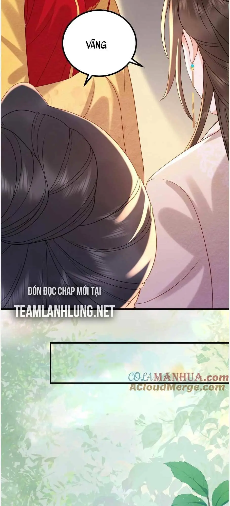 Chapter 162