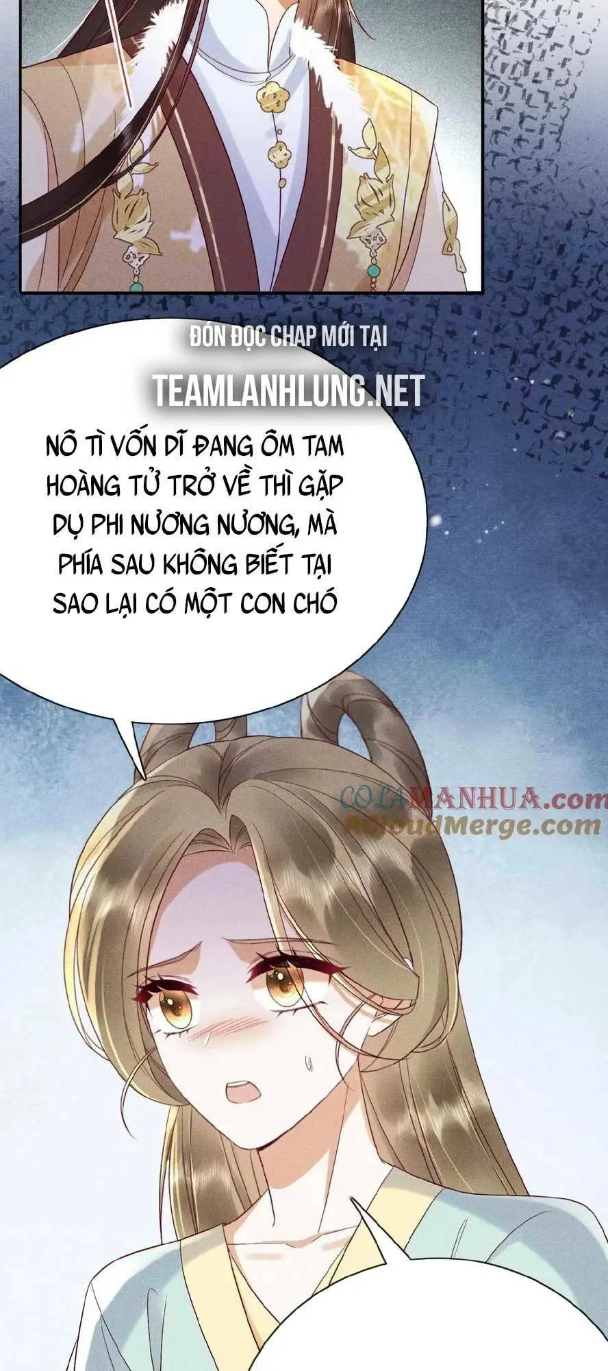 Chapter 159