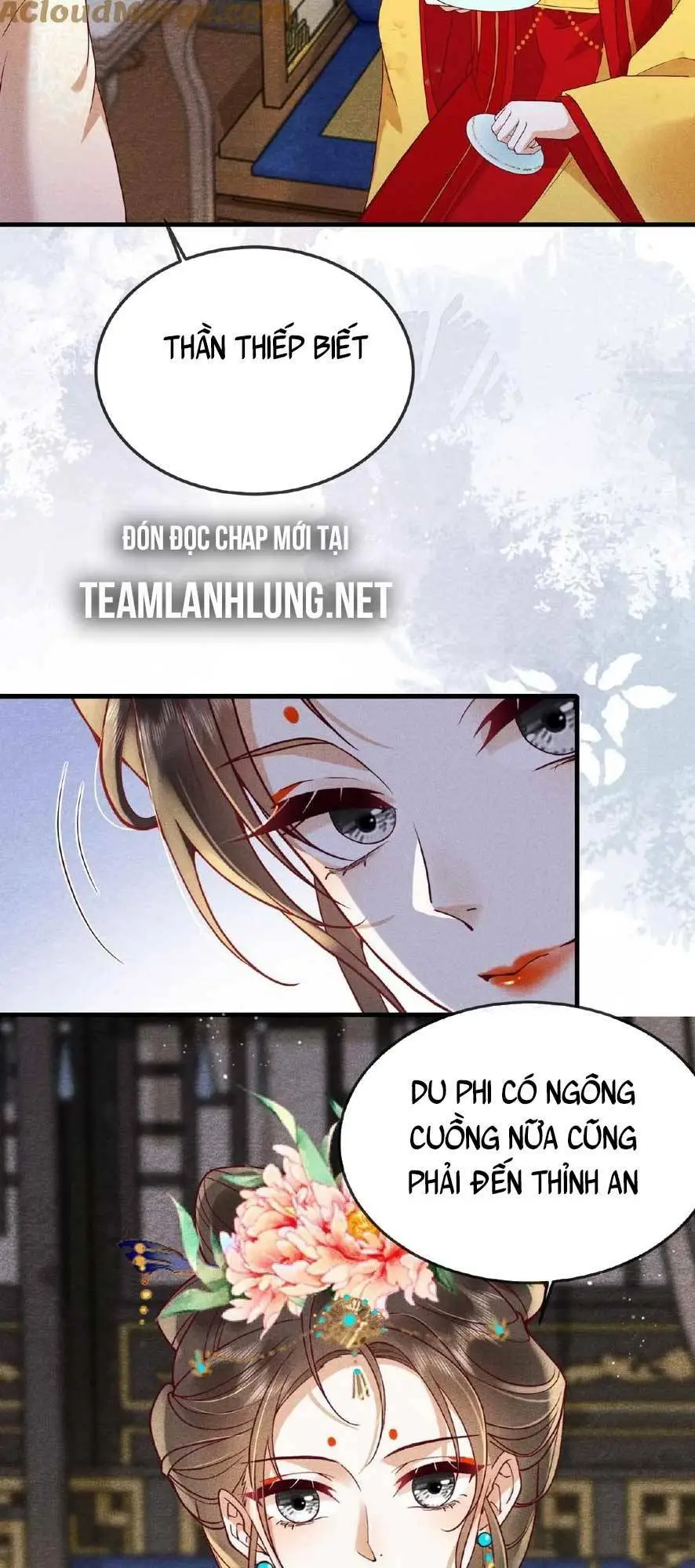 Chapter 156