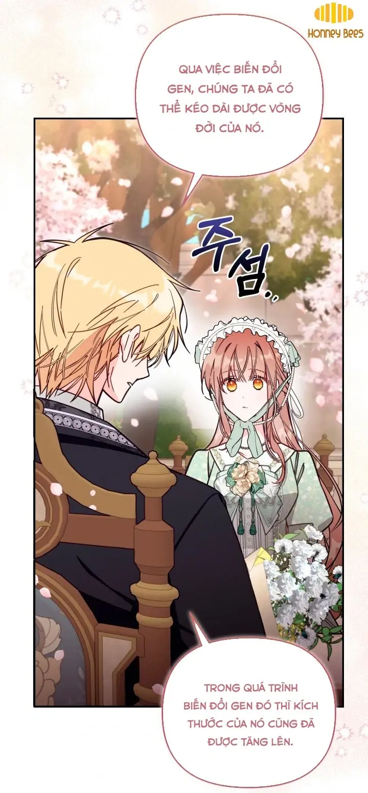 Chapter 70