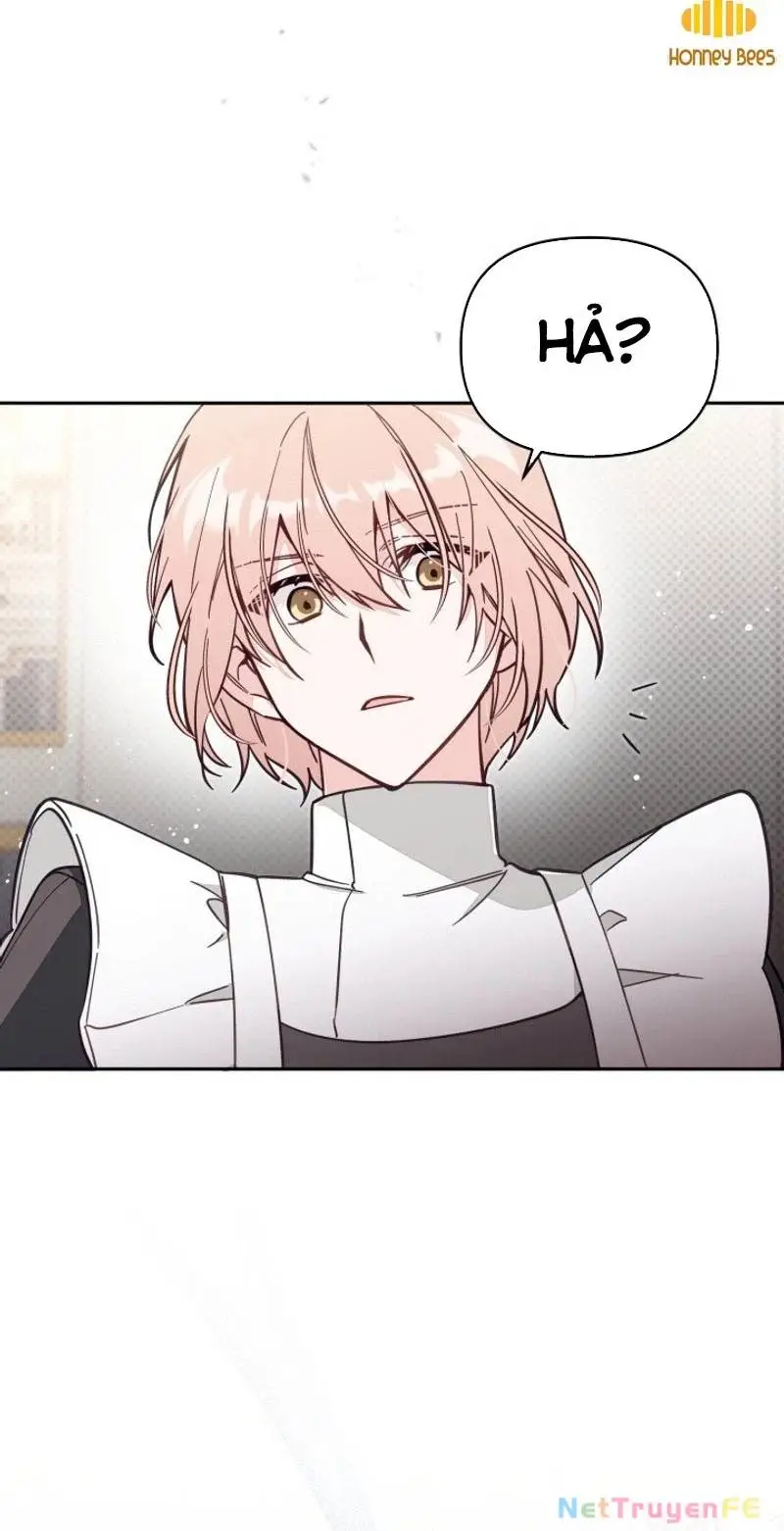 Chapter 66