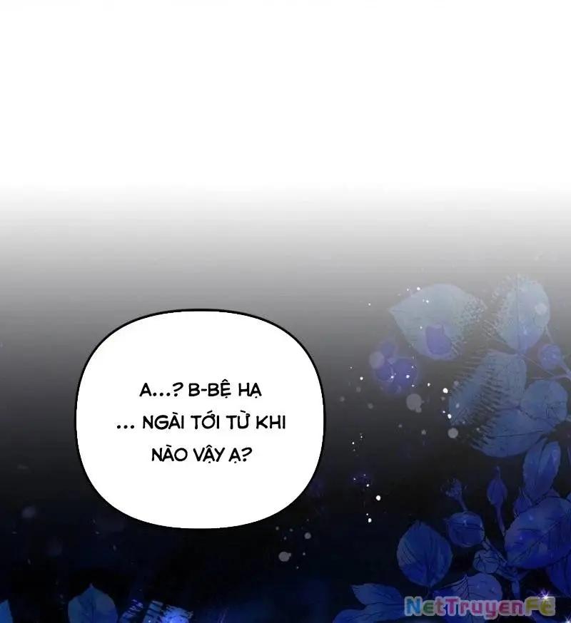 Chapter 65