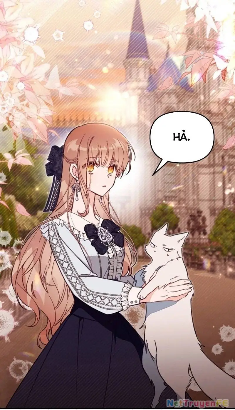 Chapter 64