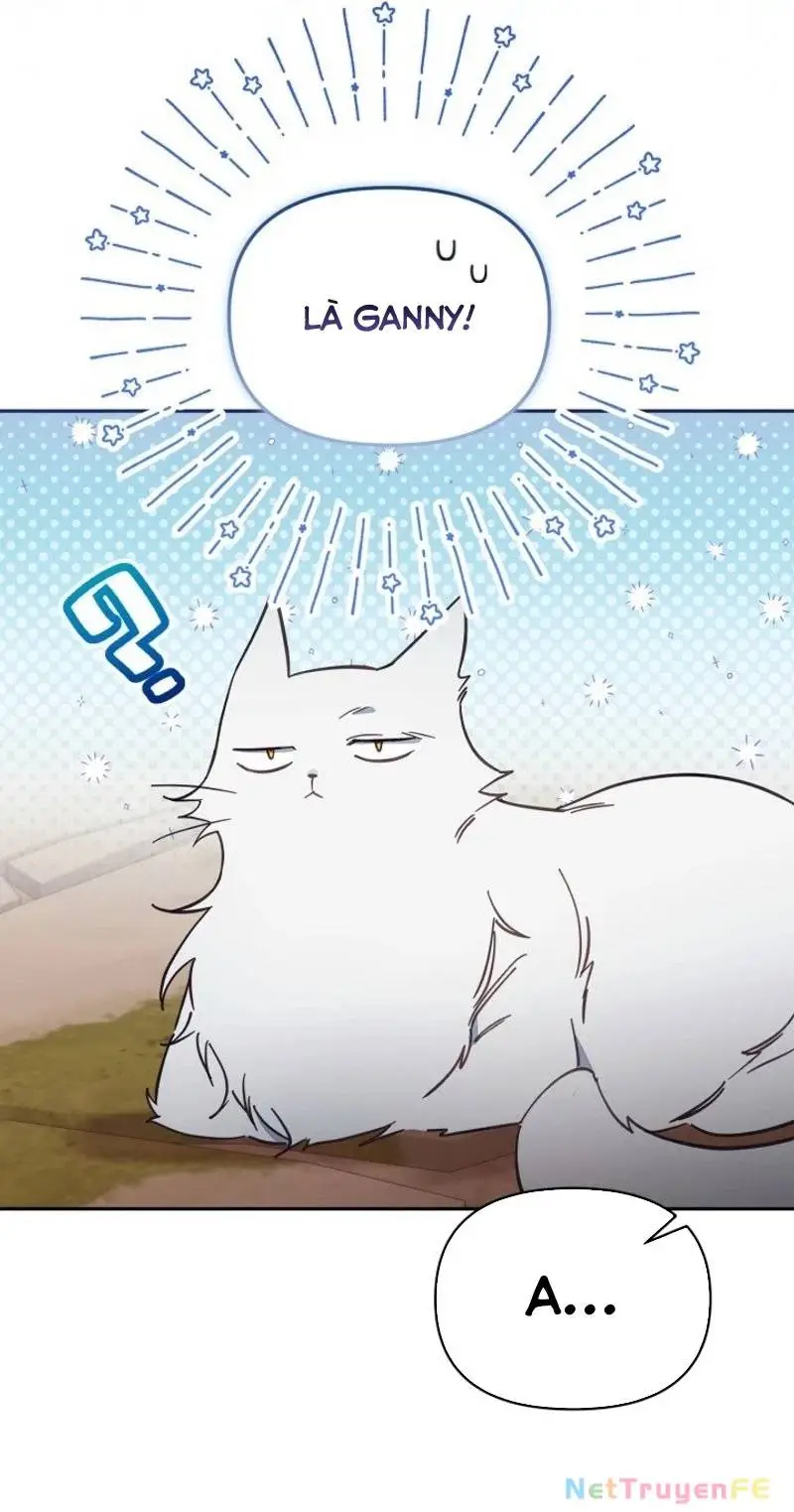 Chapter 64