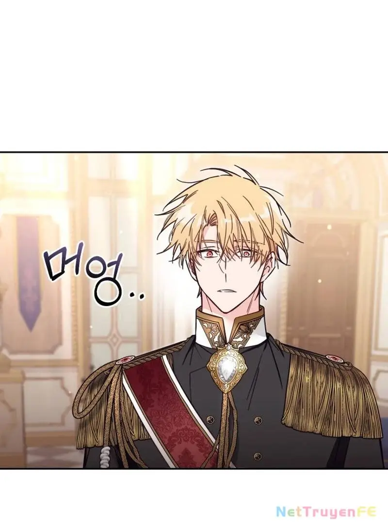 Chapter 61