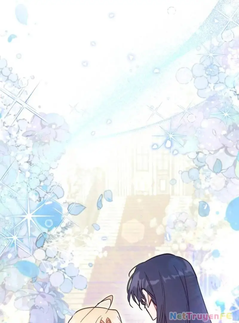 Chapter 61