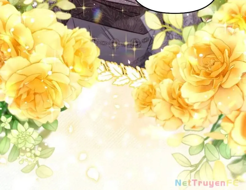 Chapter 61
