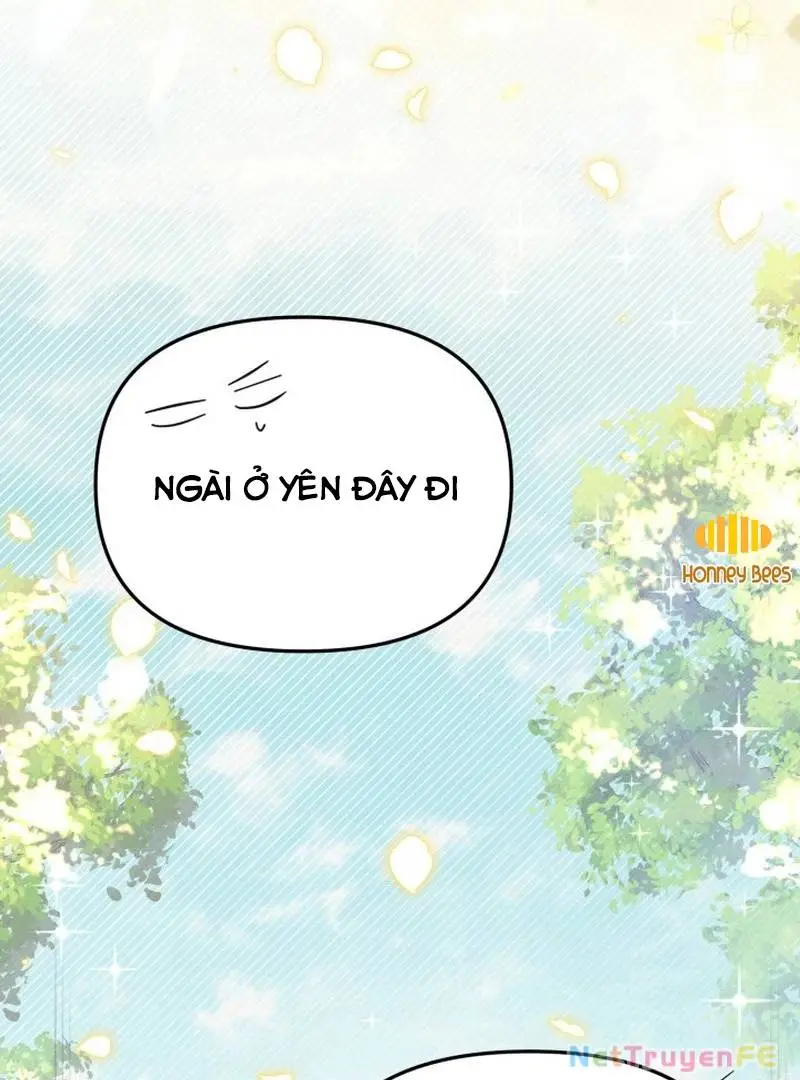 Chapter 61